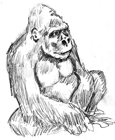 A quick sketch from the woodland park zoo of Leonel chilling out