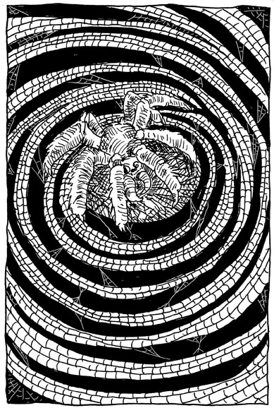 wpmorse pattern inktober pen and ink spider web illustration sketch