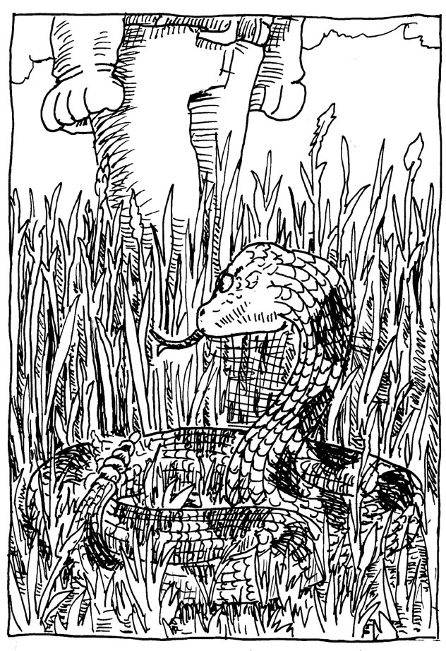 wpmorse rattlesnake grass inktober tread halloween pen and ink illustration