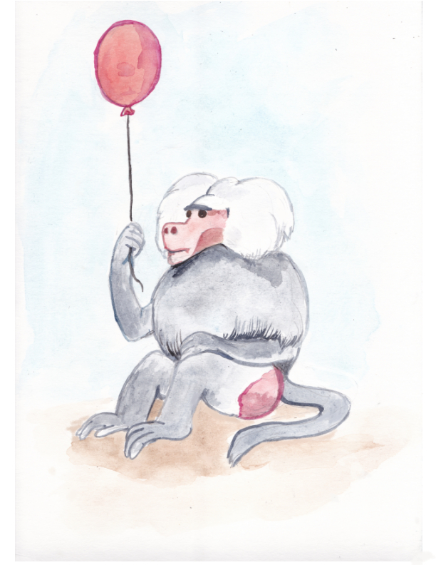 watercolor sketch illustration animals monkey hamadryas baboon balloon primate