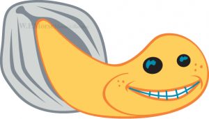 wpmorse logo geoduck mascot