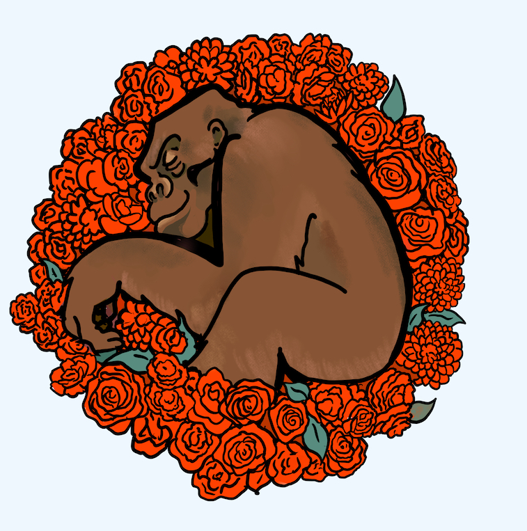 A Gorilla sleeps in a bed of roses.