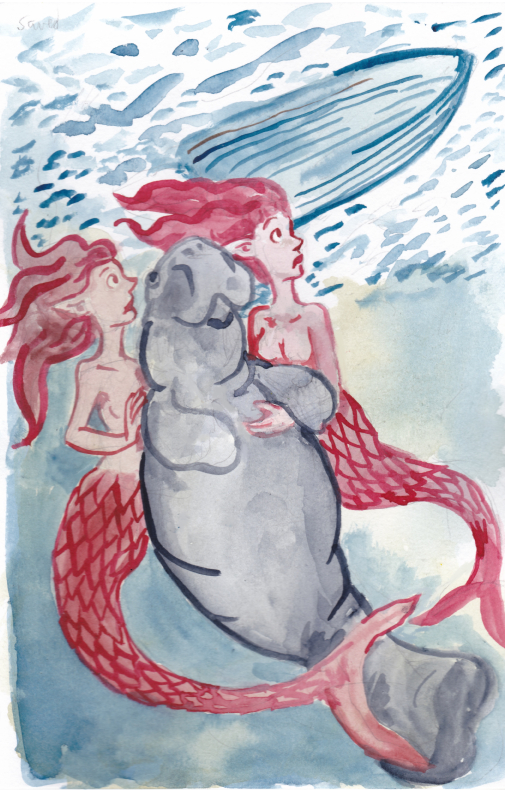 mermay mermaids manatee boat watercolor saved rescue illustration