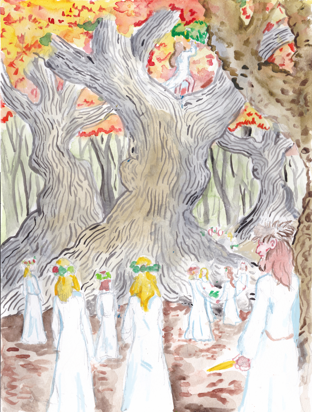 halloween,oak,illustration,ritual,druids,tree,mistletoe,watercolor,everwood, halloween